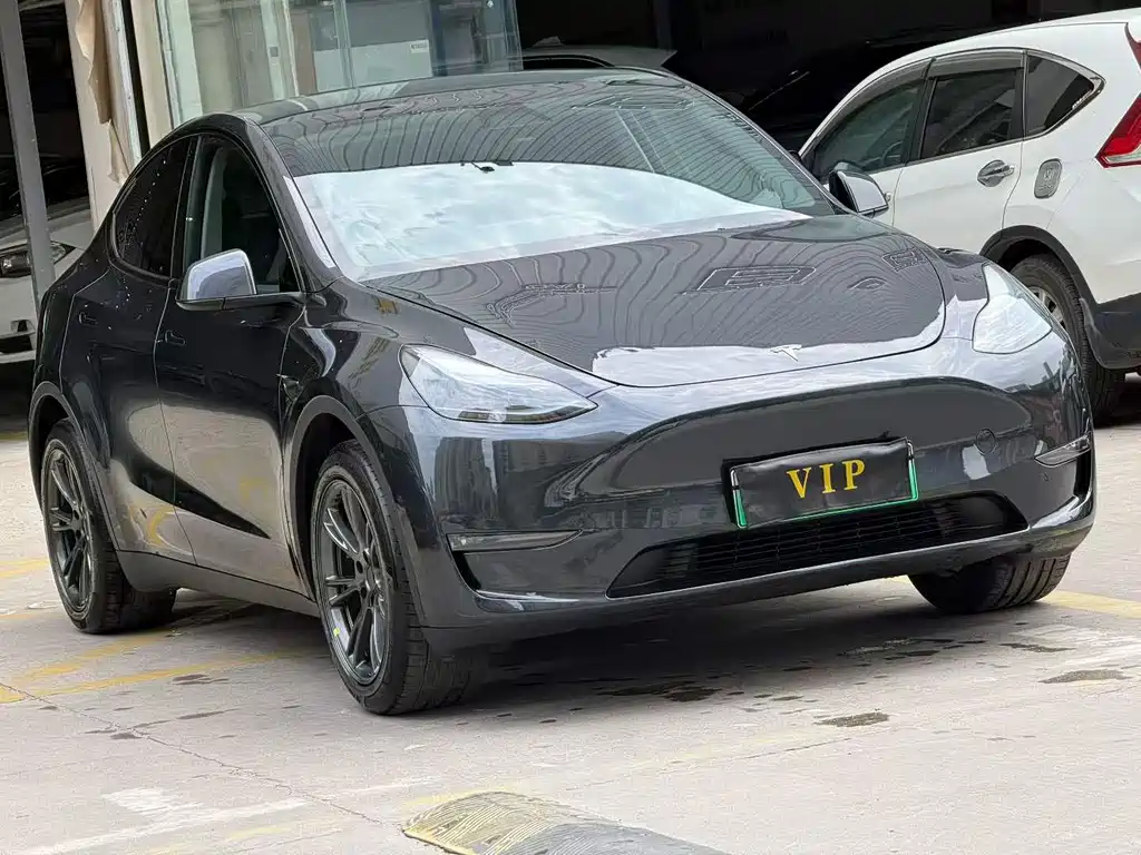 Tesla Model Y — миниатюра 3