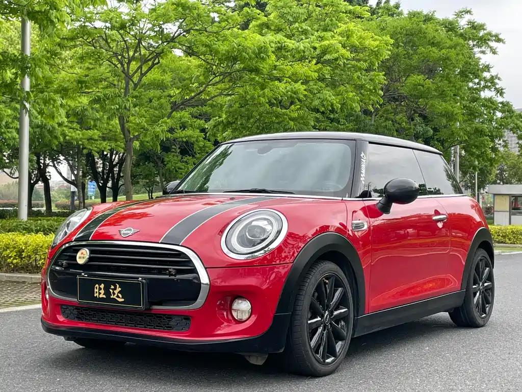 Mini Mini 2019