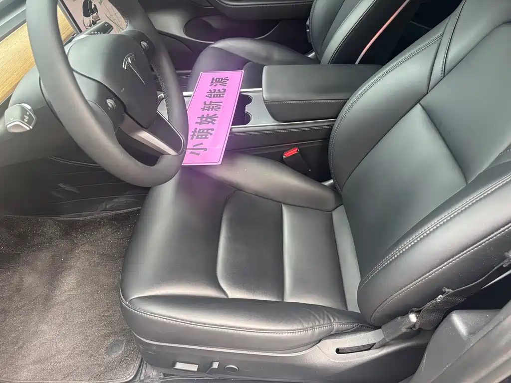 Tesla Model 3 — миниатюра 4