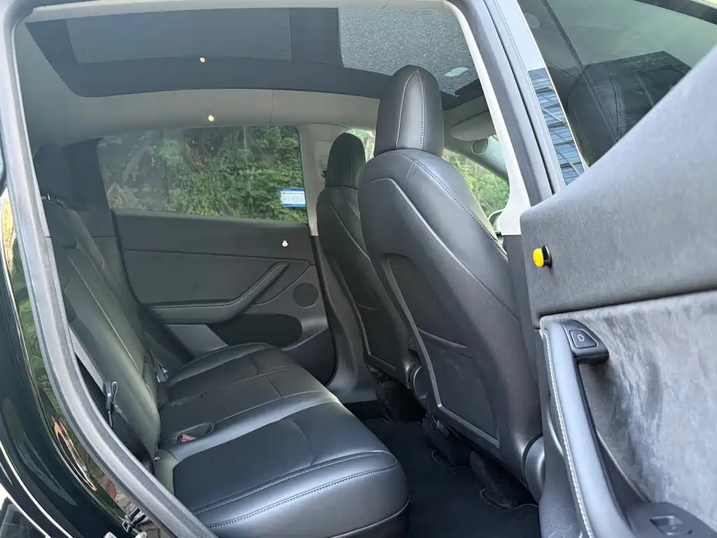 Tesla Model Y — миниатюра 5