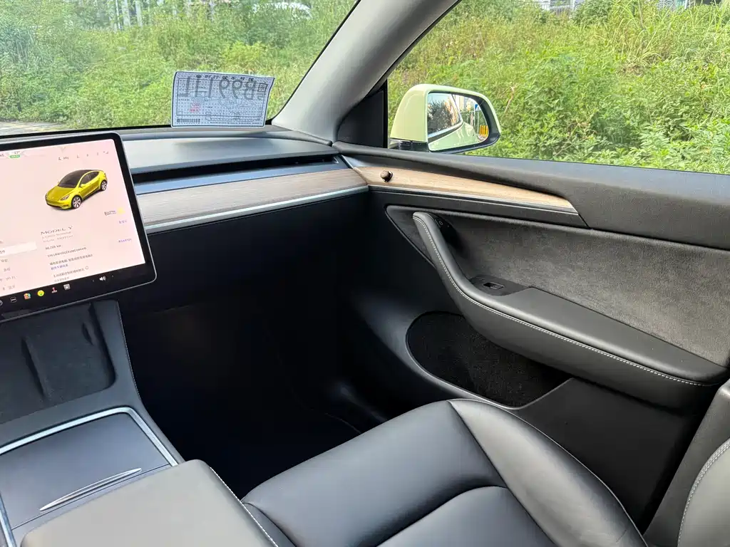 Tesla Model Y — миниатюра 11