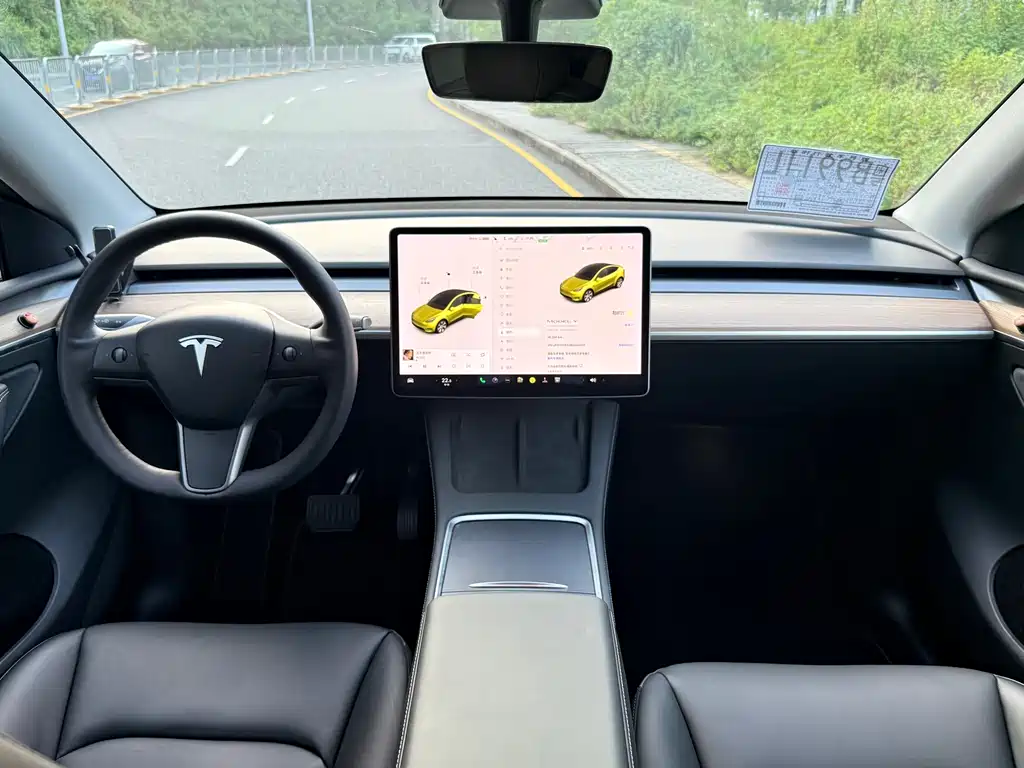 Tesla Model Y — миниатюра 13