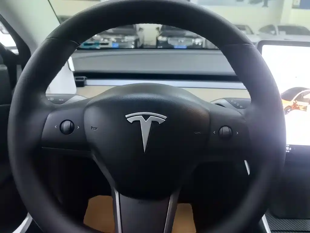 Tesla Model 3 — миниатюра 11