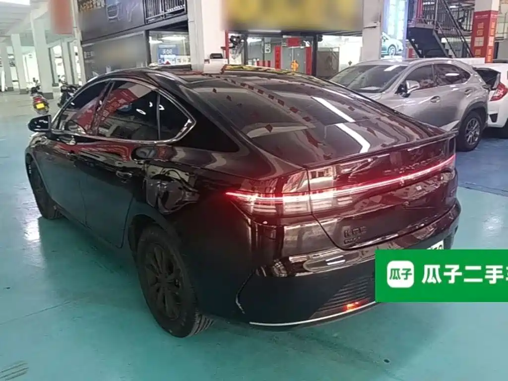 BYD Destroyer 05 2024 DM-i 55KM Luxury