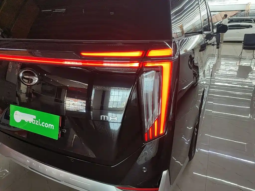 GAC Motor Trumpchi M8 — миниатюра 8