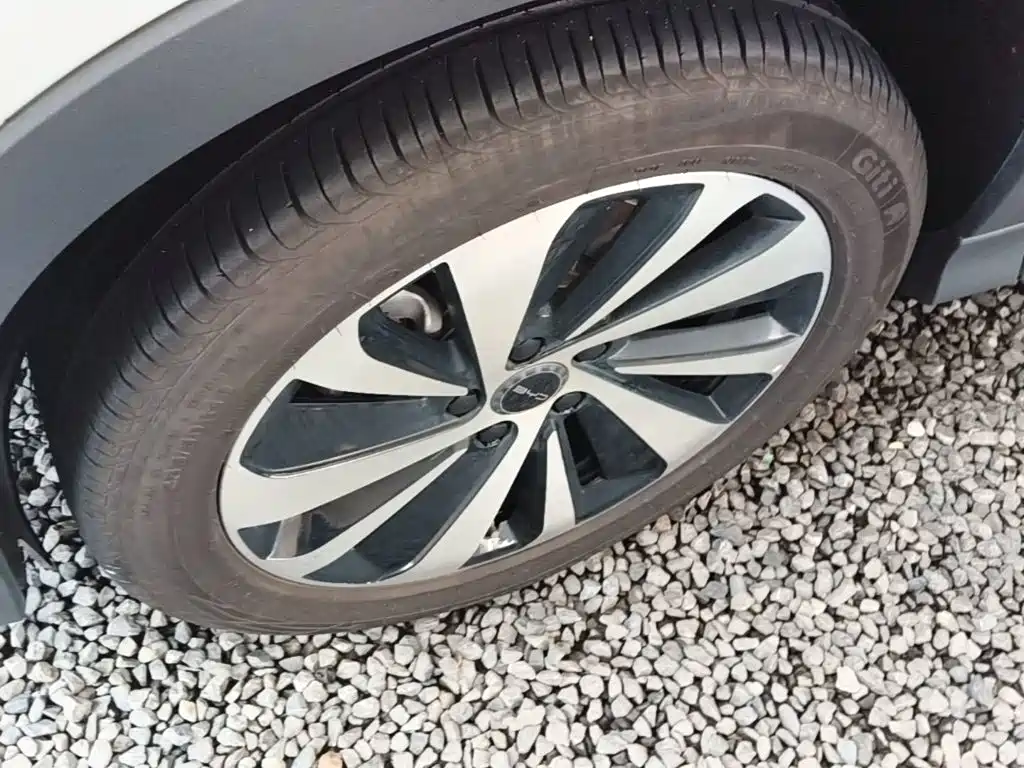 BYD PLUS New Energy — миниатюра 23