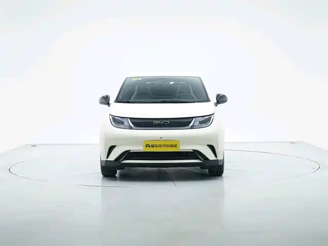 BYD Dolphin — миниатюра 6