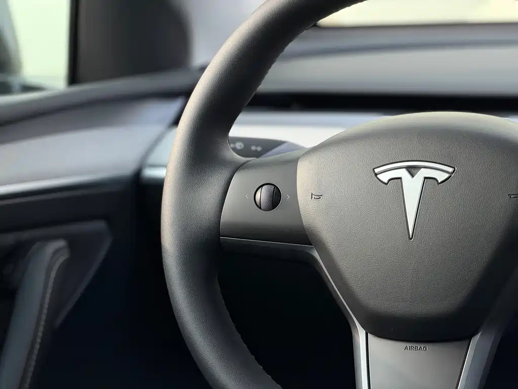 Tesla Model Y — миниатюра 15