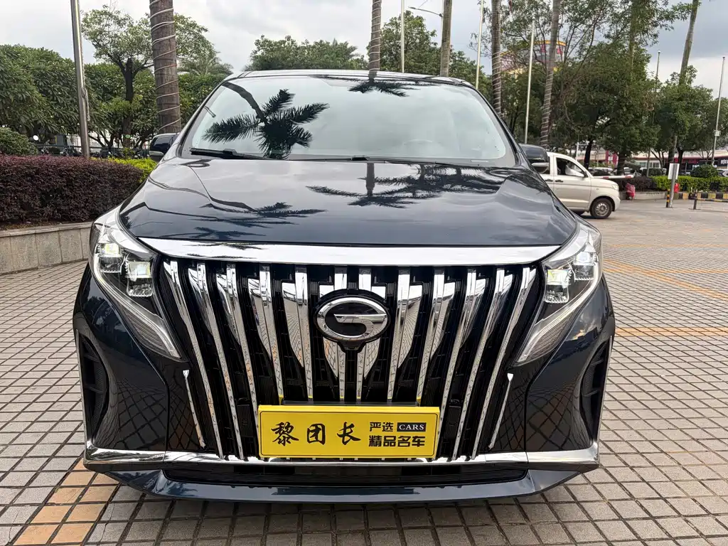 GAC Motor Trumpchi M8 — миниатюра 2