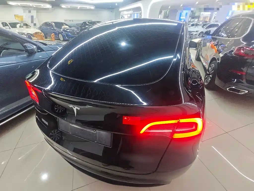 Tesla Model Y — миниатюра 7