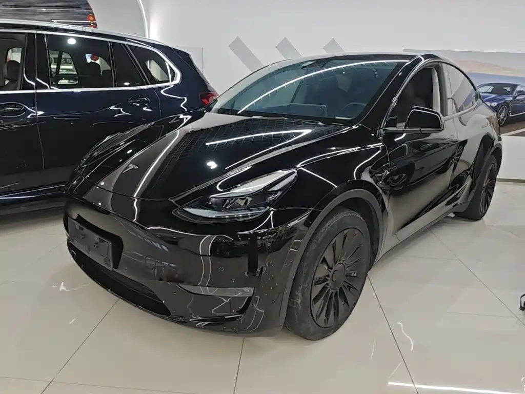 Tesla Model Y — миниатюра 2