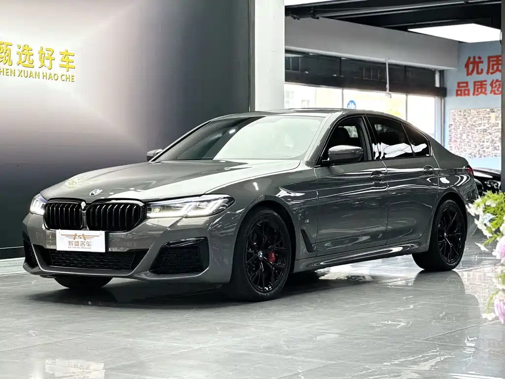 BMW 5 Series (Import)