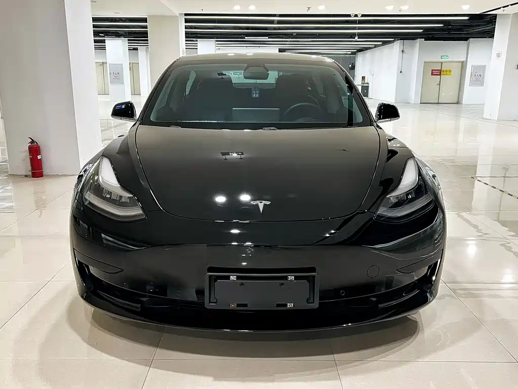 Tesla Model 3 — миниатюра 2