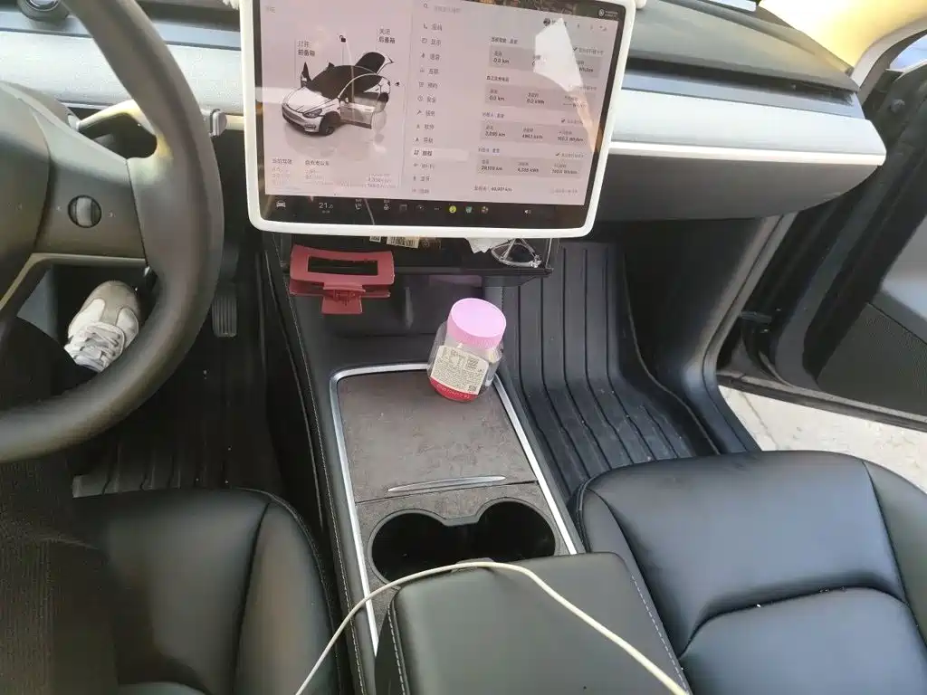 Tesla Model Y — миниатюра 6