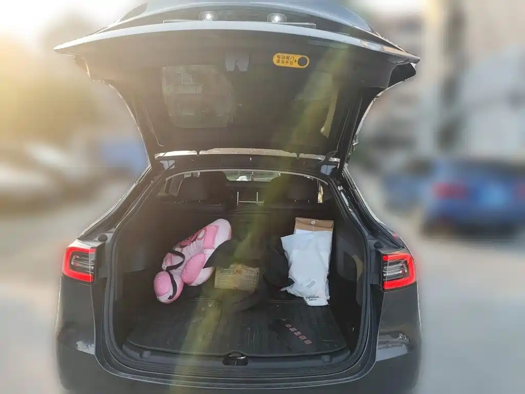 Tesla Model Y — миниатюра 10