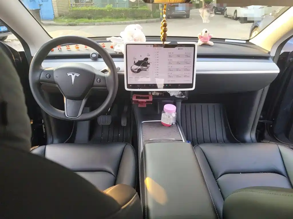 Tesla Model Y — миниатюра 13