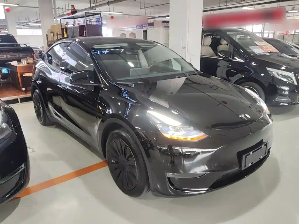 Tesla Model Y — миниатюра 4