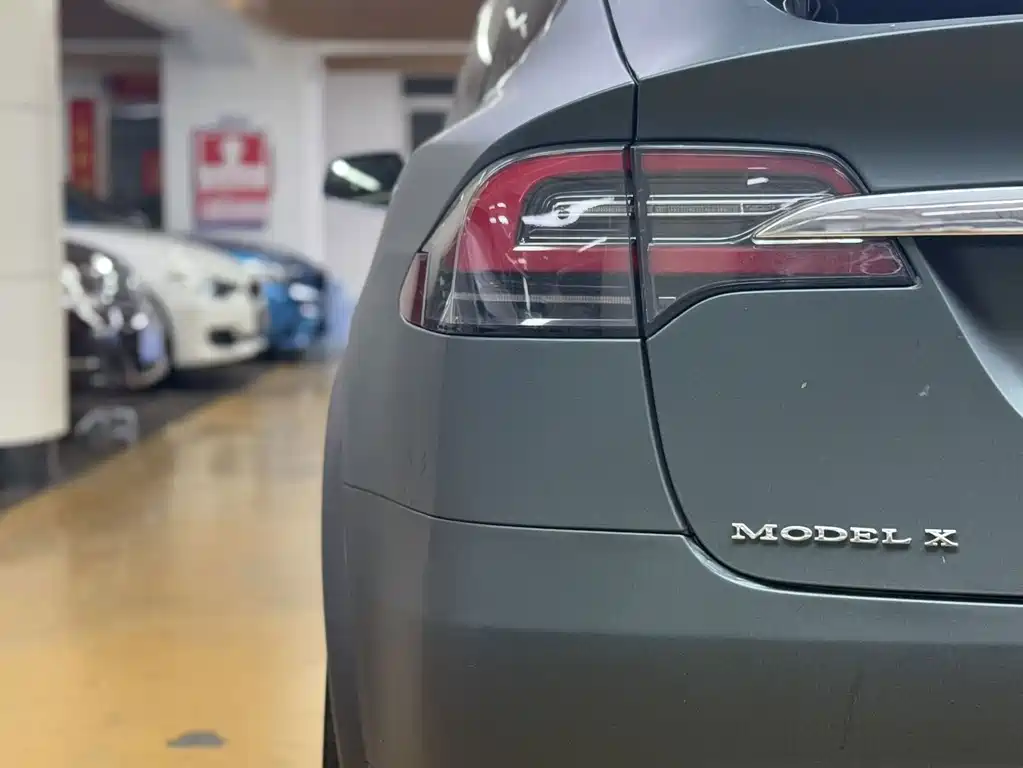 Tesla Model X — миниатюра 19