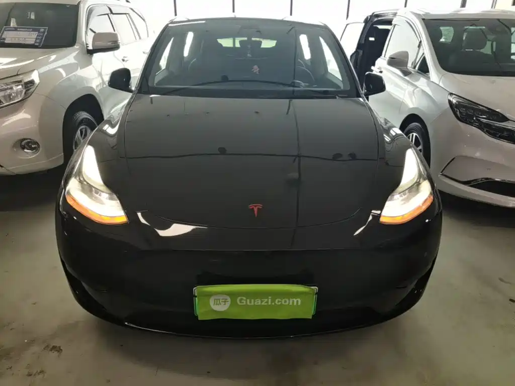 Tesla Model Y — миниатюра 3