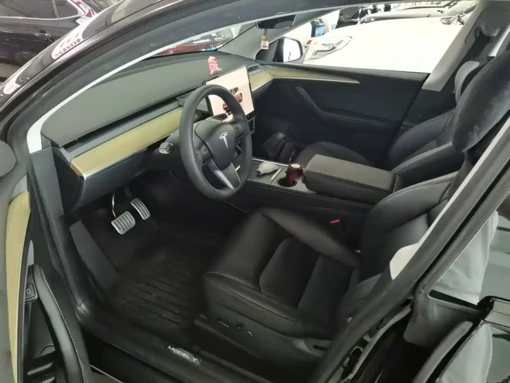 Tesla Model Y — миниатюра 15