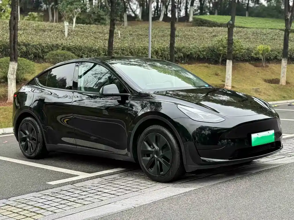Tesla Model Y — миниатюра 3