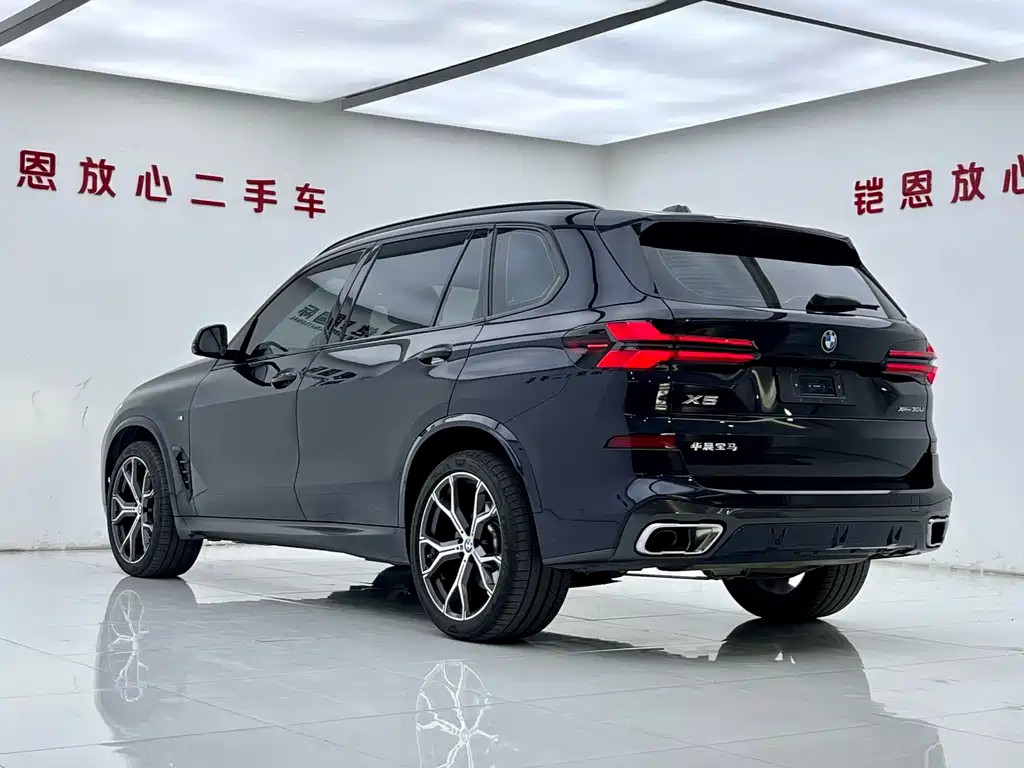 BMW X5 — миниатюра 24