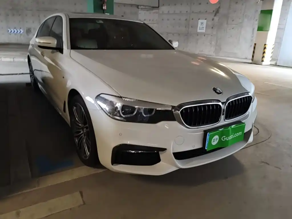 BMW 5 Series 5 2018 530Li Lead M Sport