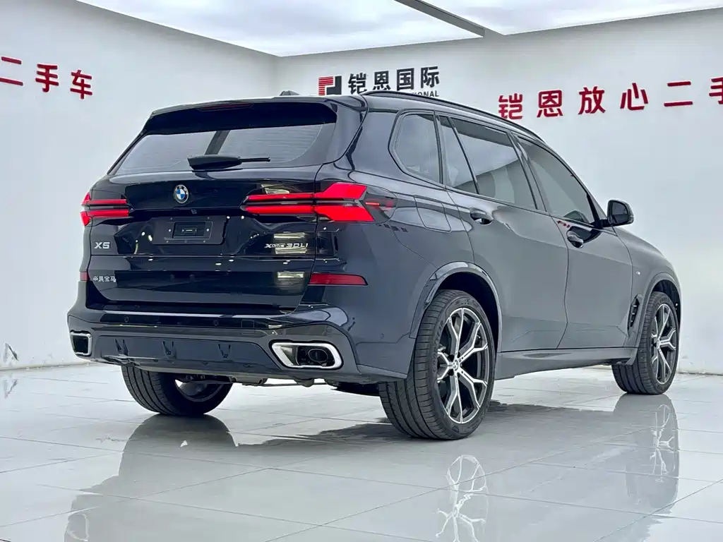 BMW X5 — миниатюра 26