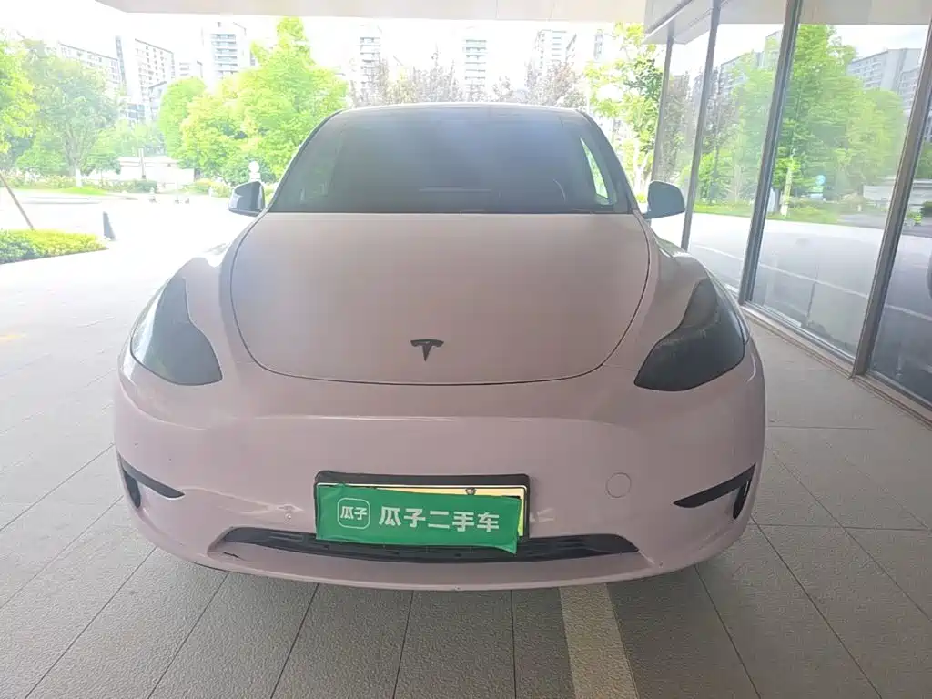 Tesla Model Y — миниатюра 3
