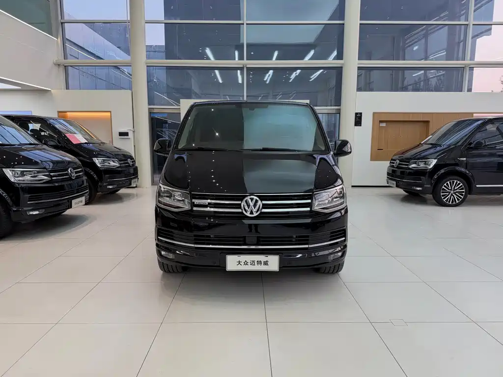 Volkswagen Multivan — миниатюра 2