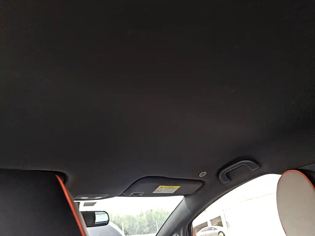 BYD Dolphin 2021 405km Freedom