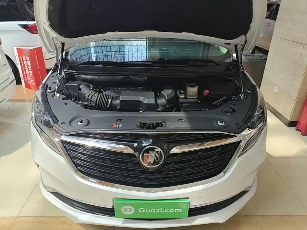 Buick GL8 — миниатюра 20