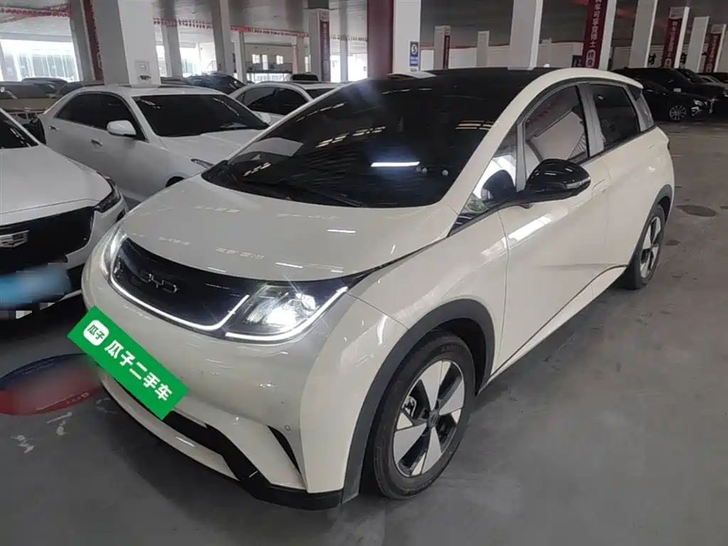 Byd Dolphin 2023