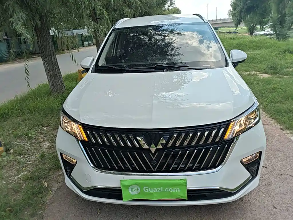 Wuling Jiachen — миниатюра 3