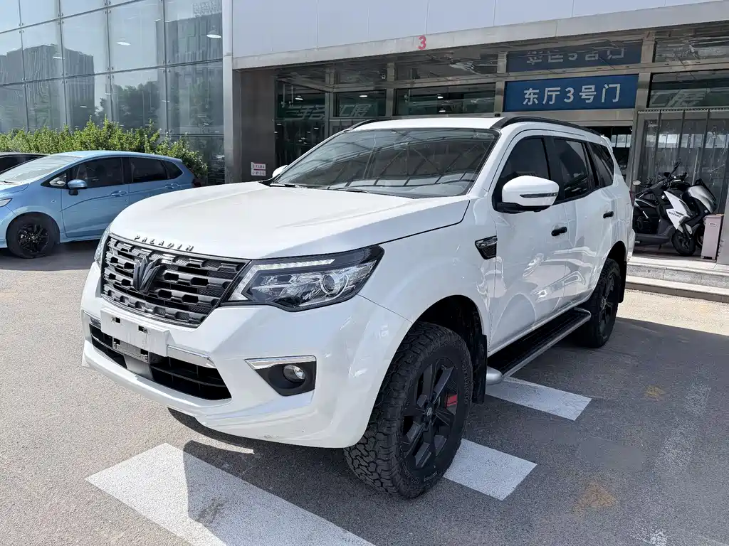 Fengdu 帕拉丁 2024
