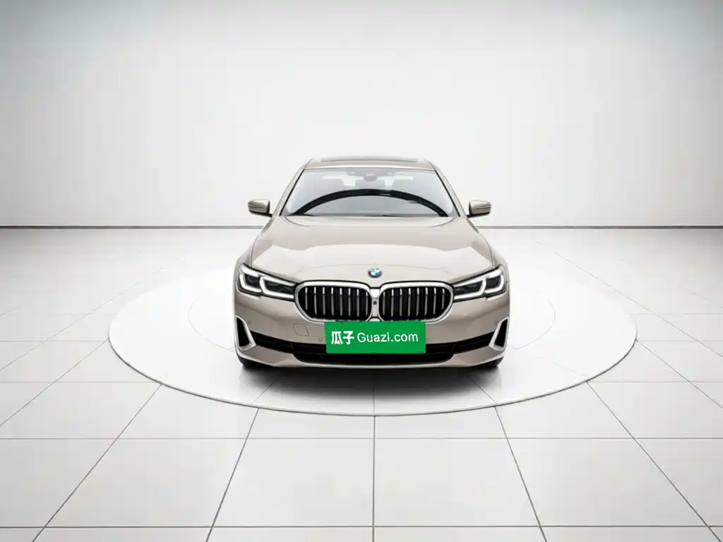 BMW 5 Series — миниатюра 2