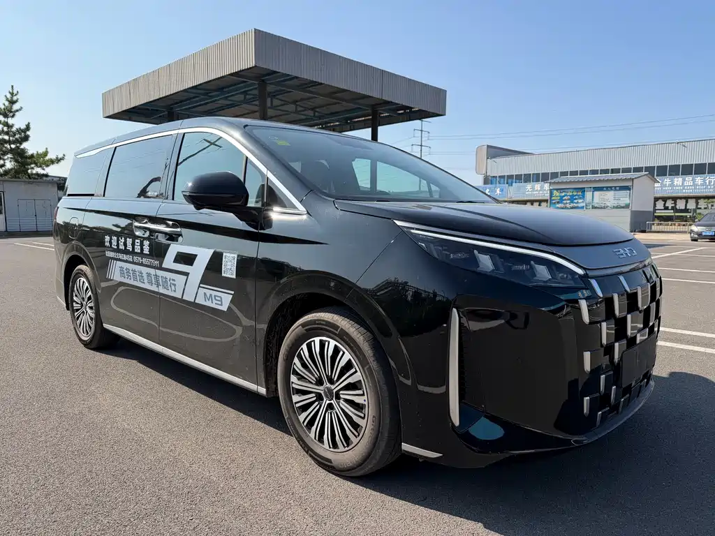 BYD M9 — миниатюра 3