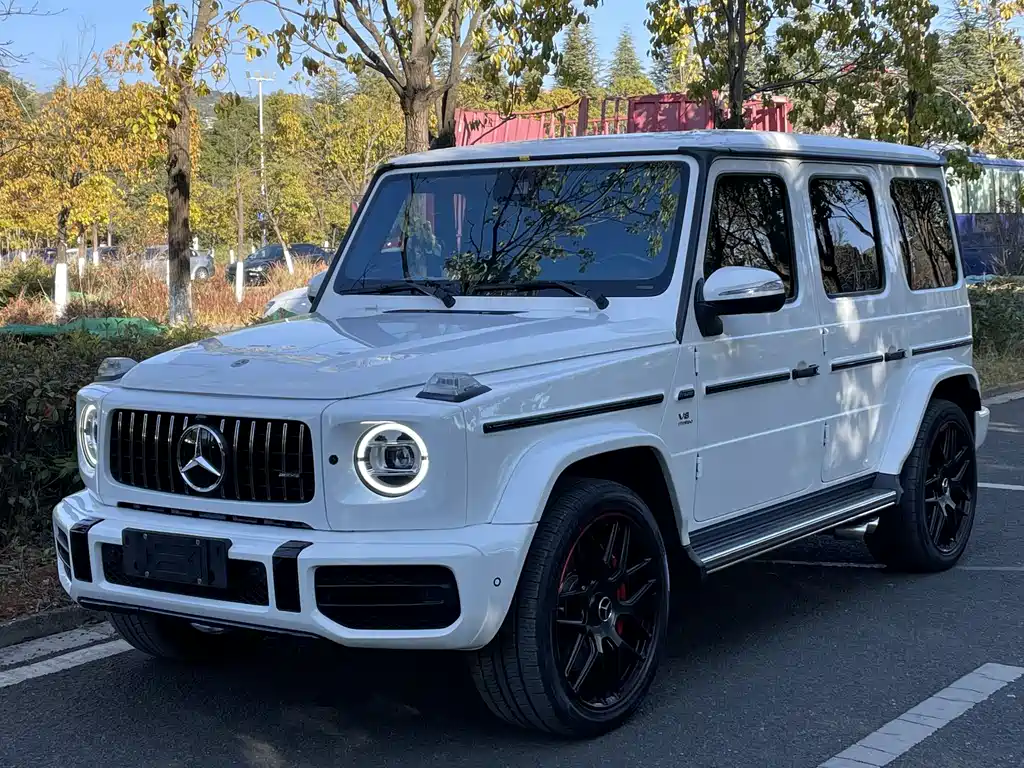 MERCEDES-BENZ G CLASS
