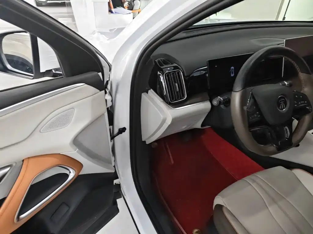 BYD Pro New Energy — миниатюра 16