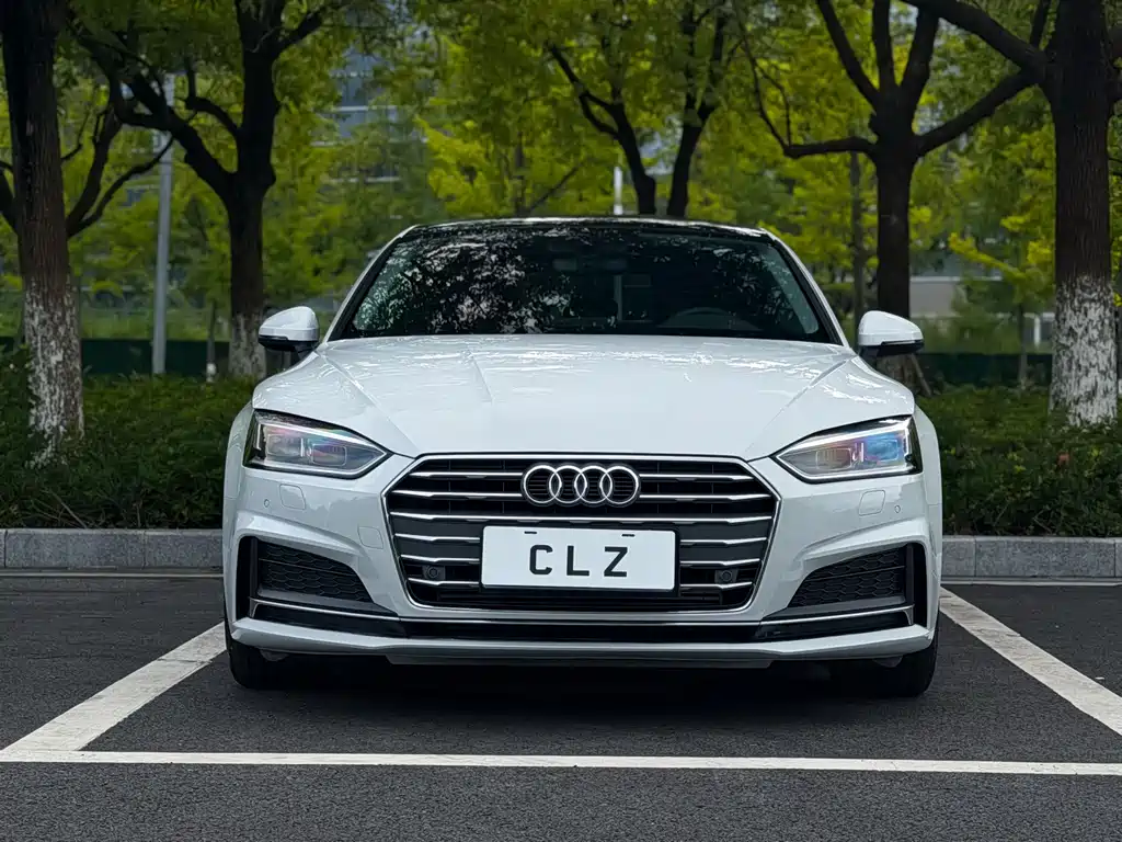 Audi A5 (Import) — миниатюра 2