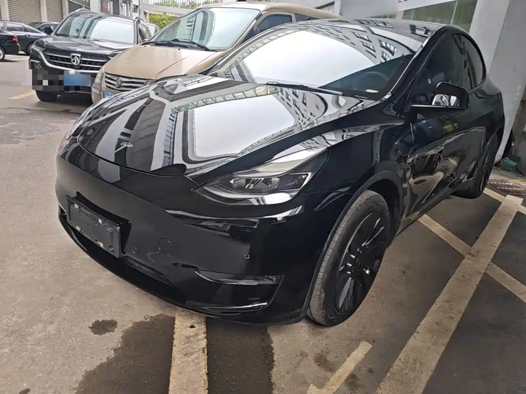 Tesla Model Y — миниатюра 2