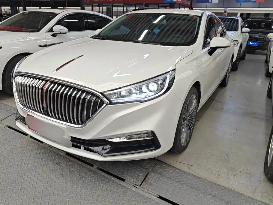 Hongqi Hongqi H5 2021