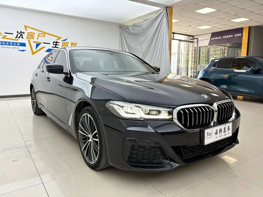 BMW 5 Series — миниатюра 13