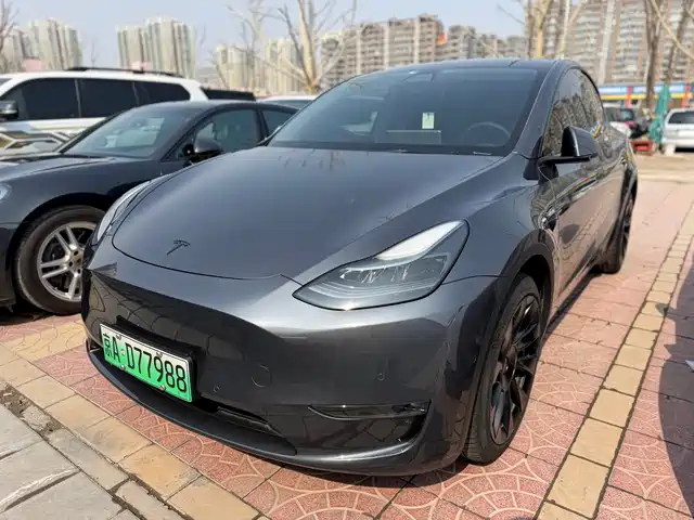 TESLA MODEL Y 2021