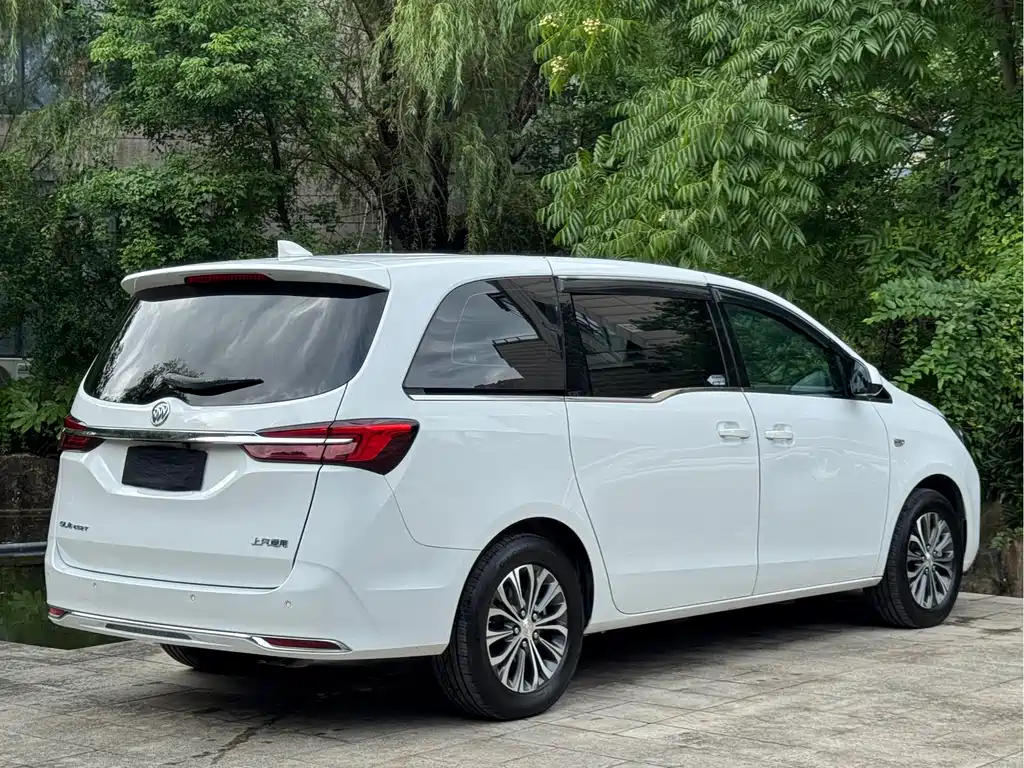Buick GL8 — миниатюра 5