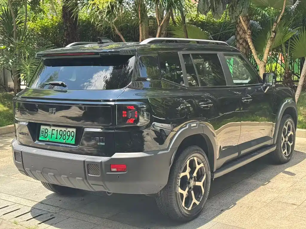 Shanhai Shanhai T1 — миниатюра 5