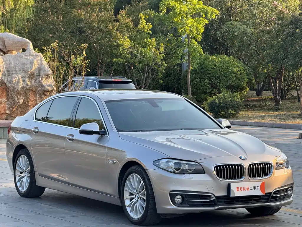BMW 5 Series — миниатюра 3