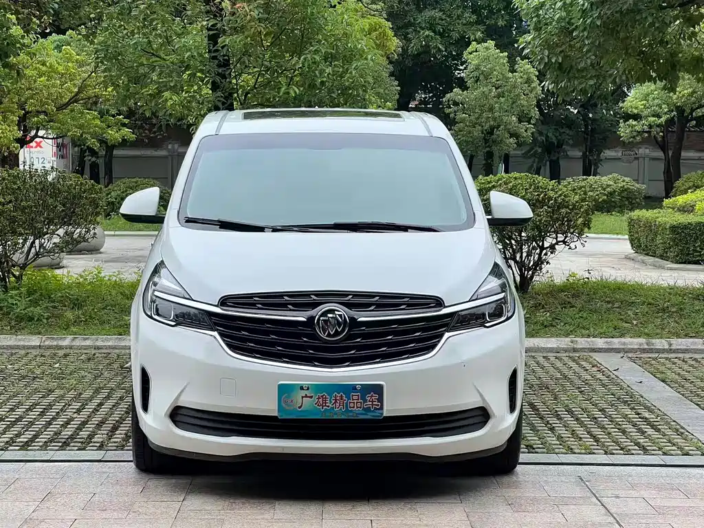 Buick GL8 — миниатюра 5