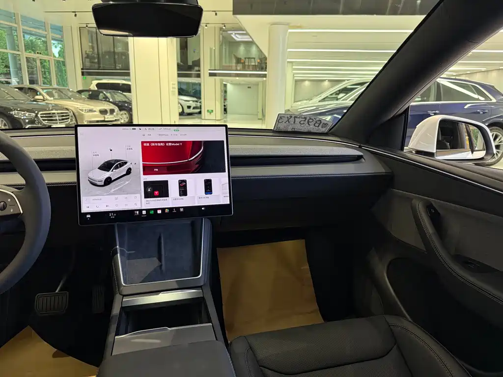Tesla Model Y — миниатюра 16