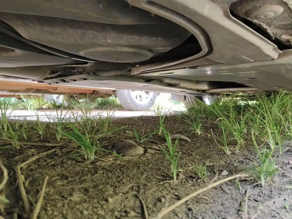 Volkswagen Lamando — миниатюра 18